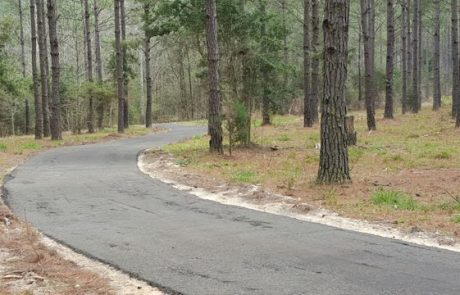 Paved driveway through woods